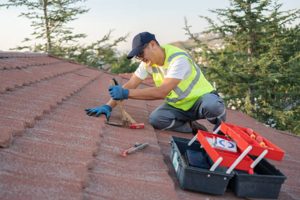 Best Roof Maintenance Services  in Lander, WY